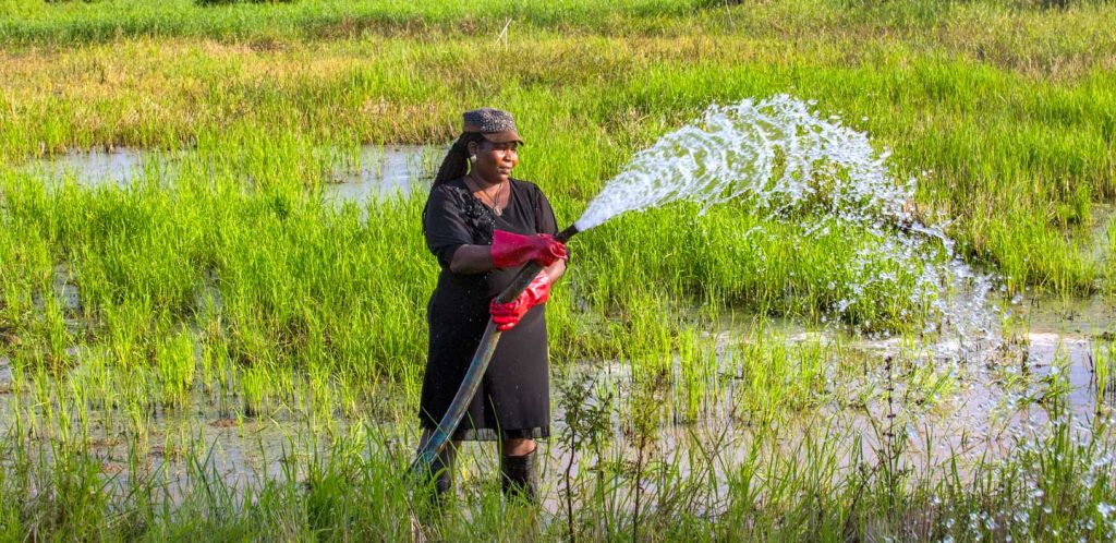 FG, ICRC partner on water, sanitation infrastructure Water Day 2018 IFAD