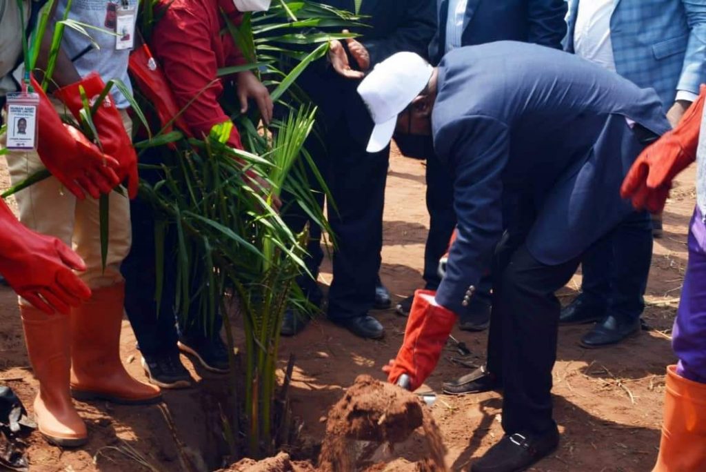 Agricultural sector Nigeria’s saving grace – CBN governor Emefiele