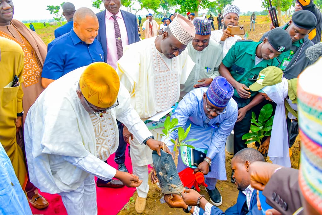 Bello inaugurates planting of 3,000 hybrid Shea trees in Niger ...