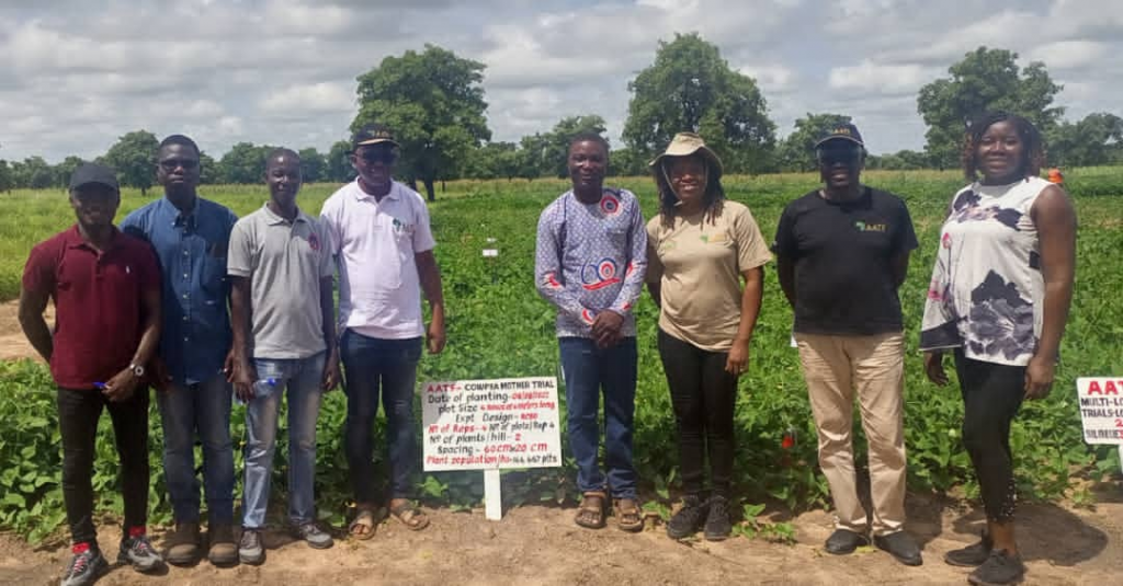 Ghanaian farmers upbeat about PBR cowpea