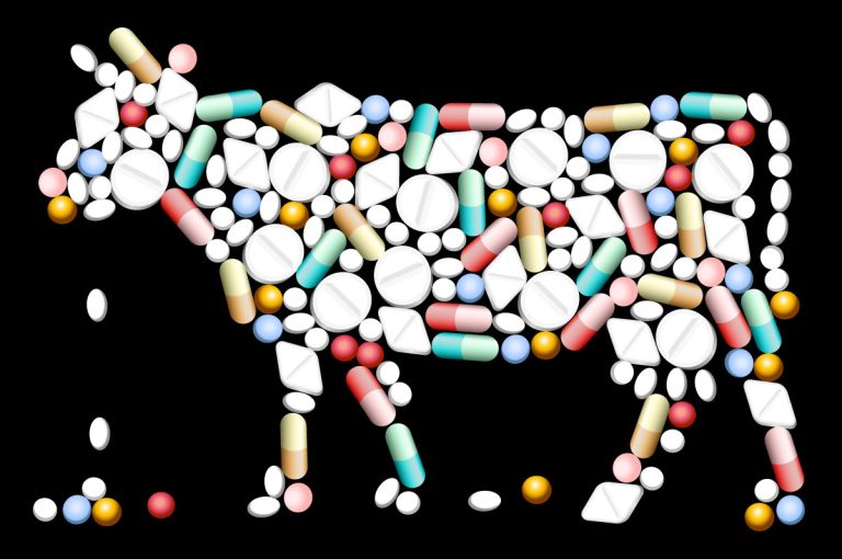 Animal health: L-PRES targets 850m annual vaccine production