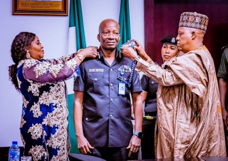 Vice President Shettima decorates new acting IGP, Egbetokun