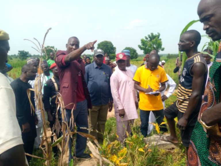 Shiroro council chairman vows to retrieve govt lands from trespassers