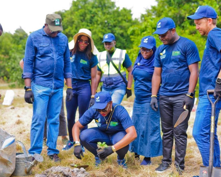 BATN Foundation partners NCF on environmental sustainability, afforestation initiative
