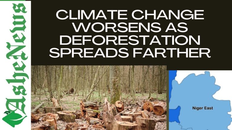 Climate change worsens in Niger as deforestation spreads farther Deforestation