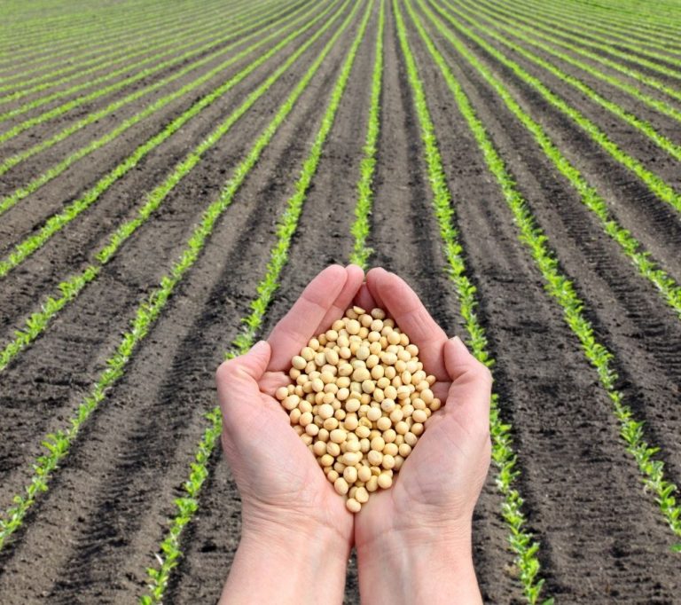 Foundation empowers nutritious food vendors with N4m micro grants in Kaduna