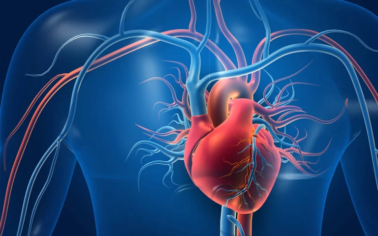 Cardiologist urges stronger primary care to fight heart disease Heart surgeries