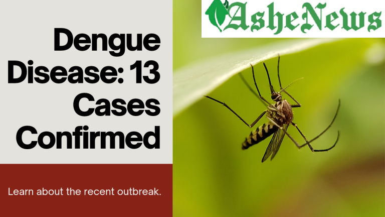 Sokoto confirms 13 cases of Dengue disease