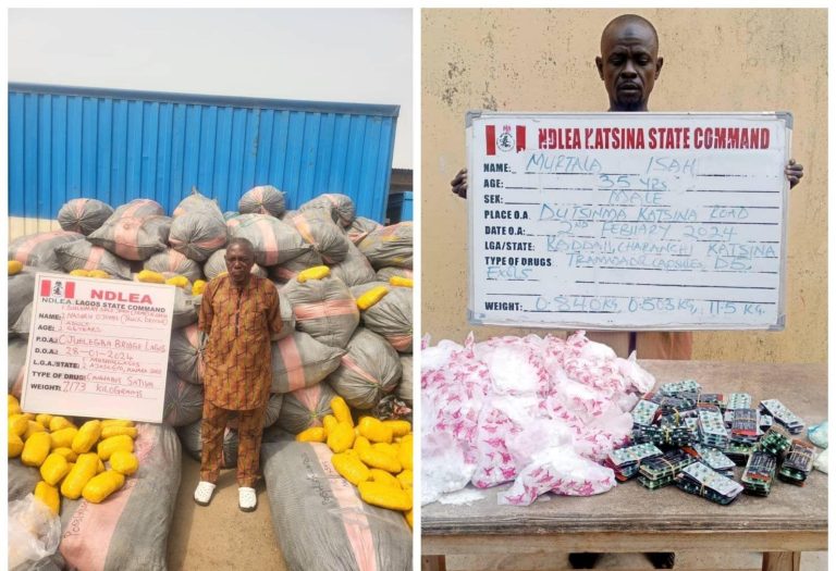 NDLEA intercepts 14.5 tons of Ghanaian Loud linked to wanted drug baron in Lagos. The agency also arrested some Persons With Disability.