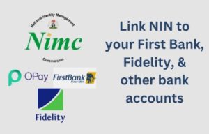 Link NIN or BVN to First Bank, Fidelity, Opay & other banks | AsheNews ...