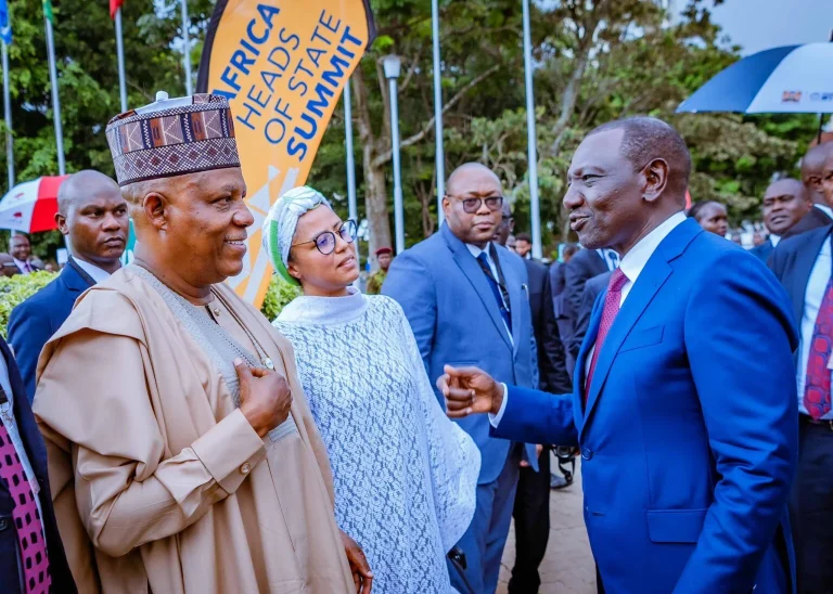 Tinubu reiterates Nigeria’s plans to build digital market Tinubu reiterates Nigeria’s plans to build digital market