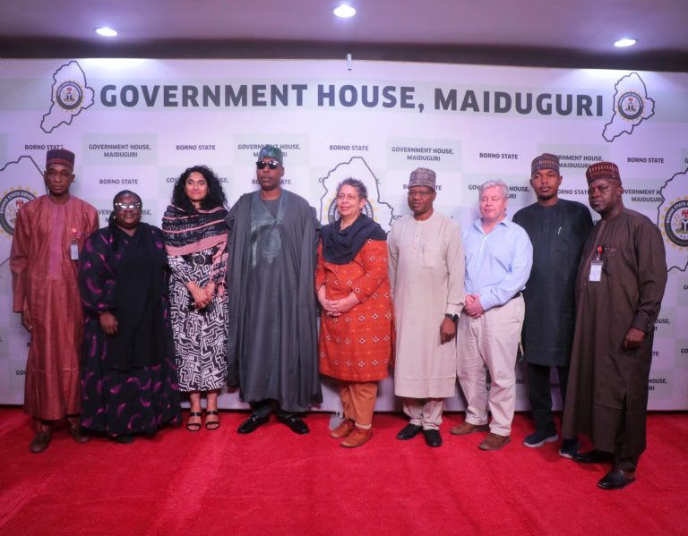 USAID restates commitment to partnership with Borno govt