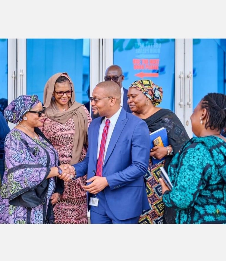 Niger to partner SMEDAN on women-owned businesses