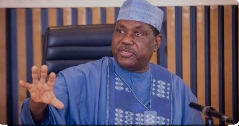 Insecurity in Nigeria is ecological — SGF