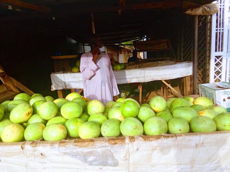 How Sokoto fruit sellers are battling rising costs, spoilage fruit