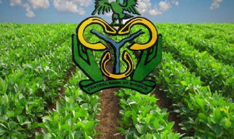 ‘Increase agriculture lending to 7%’, Lawmakers urge CBN CBN-Agric-Loan