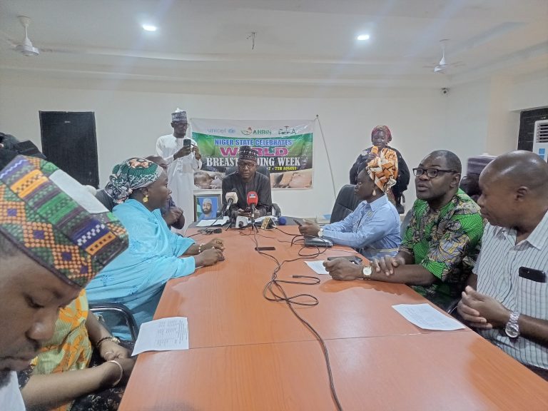 Niger vows to ensure breastfeeding works for all working mothers Breastfeeding