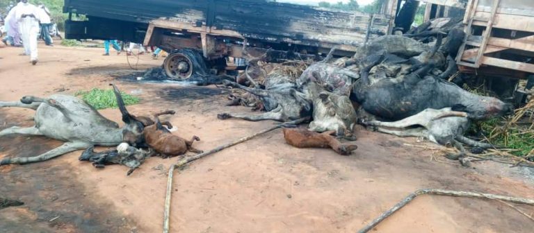 Update: 48 people burnt to death in tanker explosion in Niger