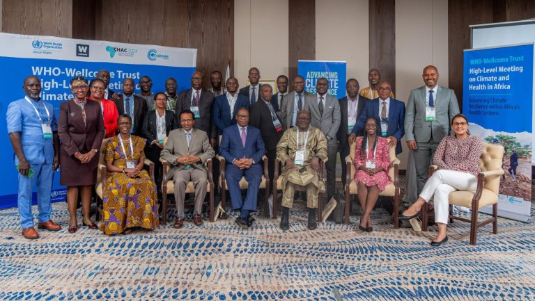 African health ministers