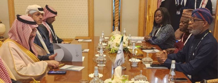 Nigeria, S/Arabia strengthen collaboration on mineral exploration, investment