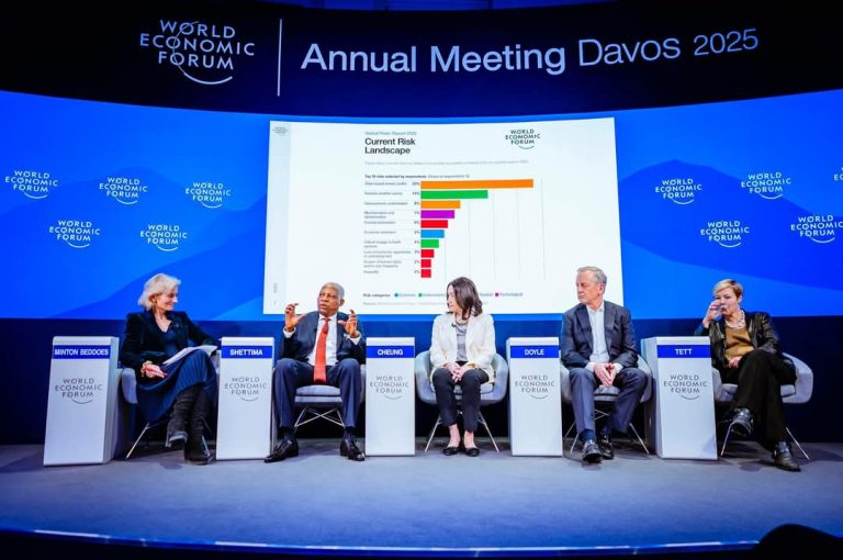 More Nigerian women working than ever before, says WEF Nigeria's Vice President Kahsim Shettima at the WEF