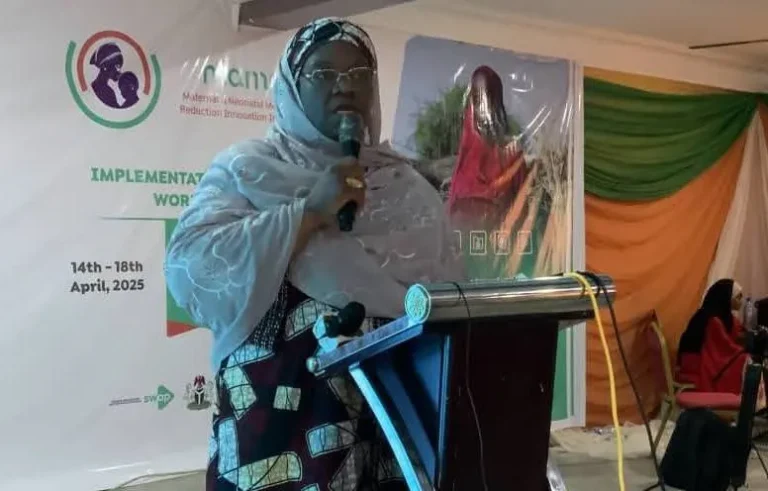 Kaduna reaffirms commitment to reducing maternal mortality