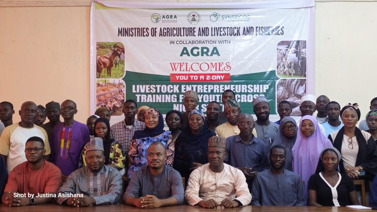 Niger trains 50 youths on livestock business