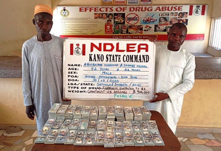 Abubakar Hussein, 42, and Sahabi Adamu, 53, with $900,000 cash