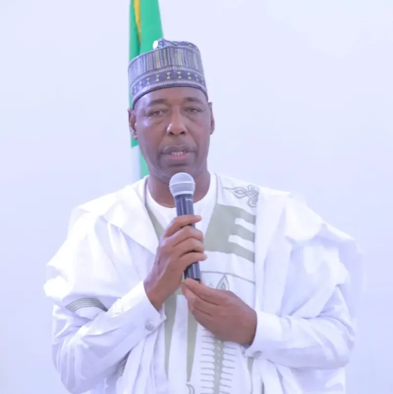 Zulum allays fears over Alau Dam flood threat