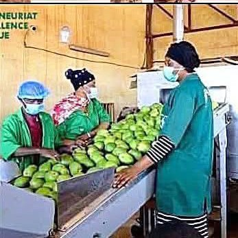 Burkina Faso embraces healthier living as local juice giant Dafani leads beverage shift