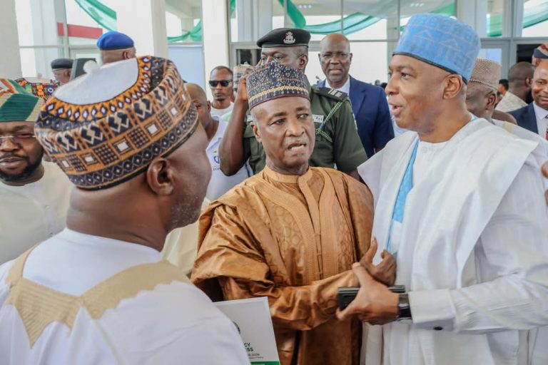 Saraki shares unspoken remarks on Democracy Day, calls for stronger legislature
