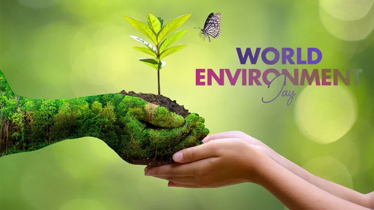 Climate action: Sokoto inaugurates tree planting to restore ecosystems