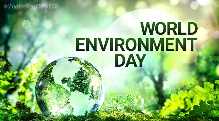 World Environment Day: Sokoto govt to plant 200,000 trees