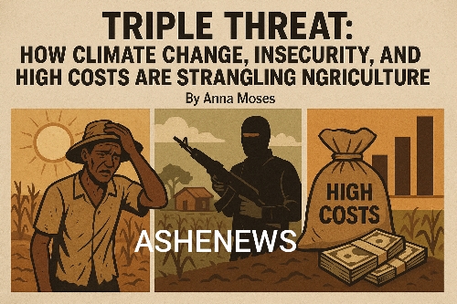 How climate change, insecurity, and high costs are strangling Nigerian agriculture