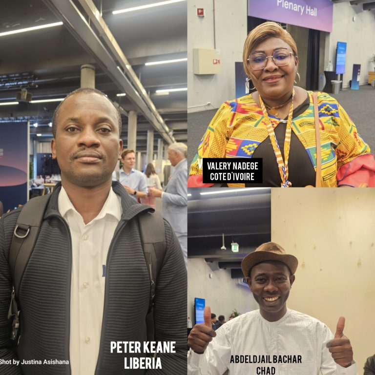 Beyond internet connectivity: African voices urge global tech inclusion and innovation