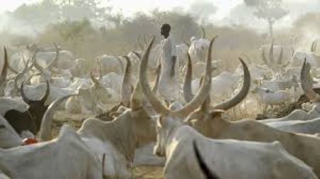 Minister backs ICT to boost livestock traceability South Sudan Livestock