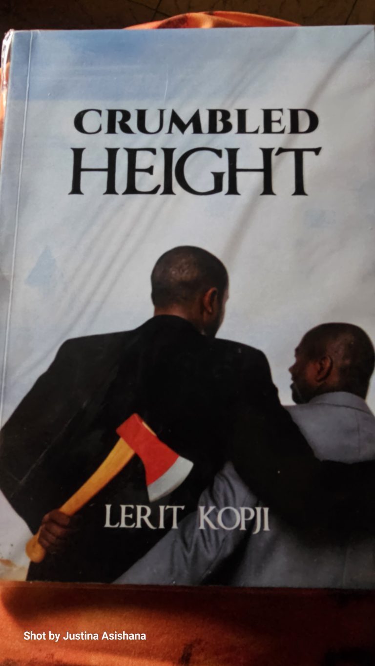 Minna Teen Author launches novel on injustice, betrayal, and resilience