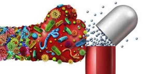 Global inaction on AMR threatening future of modern medicine – Expert warns Antimicrobial resistance (AMR)