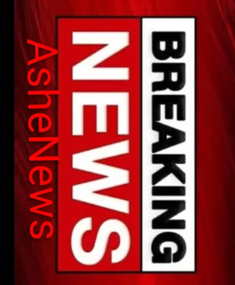 JUST IN: Tinubu orders temporary ban on export of raw shea nuts