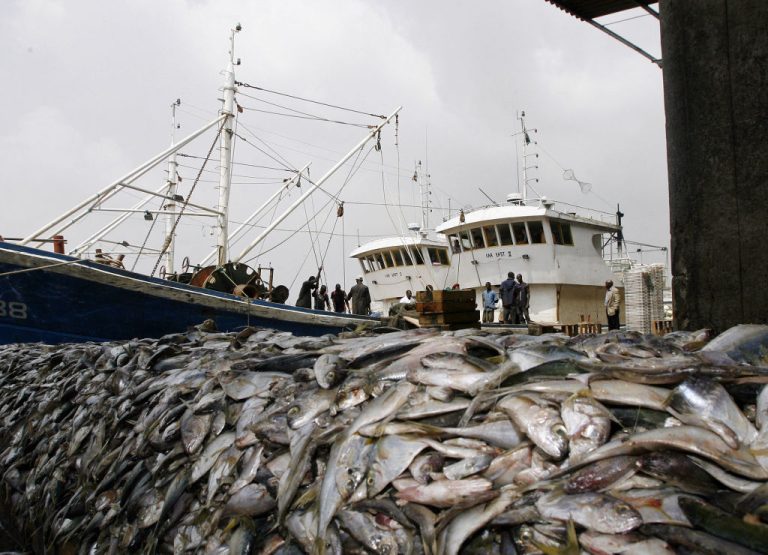 Nigeria partners with regional, global bodies to tackle illegal fishing GettyImages of fishing