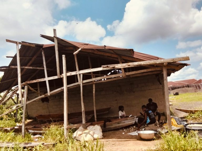 Flood devastates farmlands and homes in Rivers