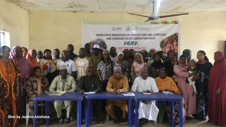 Niger trains youths in fish farming to boost food security and jobs