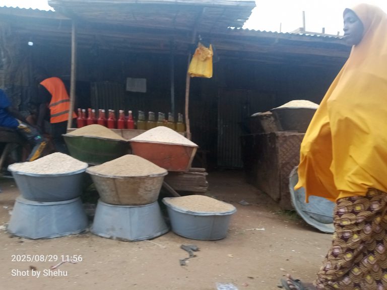 Sokoto farmers celebrate abundant harvest as maize, millet, and rice prices decline food prices