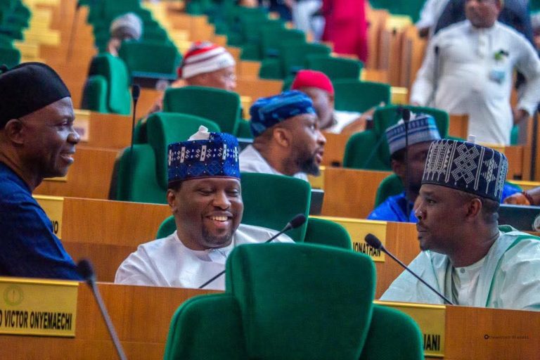 Rep. Dasuki declines 2027 re-election bid, steps aside for youth leadership