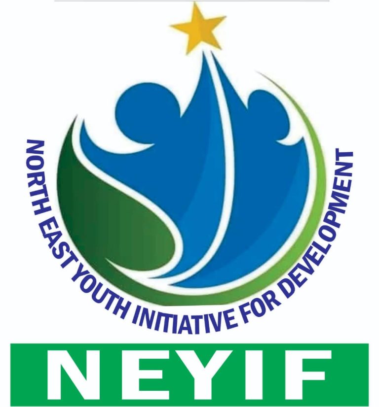 NEYIF, AYCI empower youth, women to drive peacebuilding in Sokoto