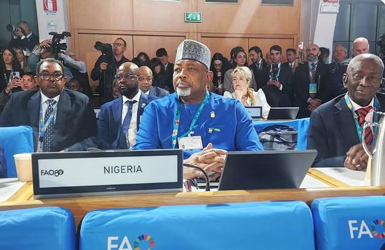 FAO 80th anniversary: Nigeria reaffirms commitment to sustainable food systems