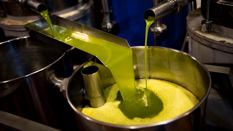 Morocco expects bumper olive harvest after years of drought