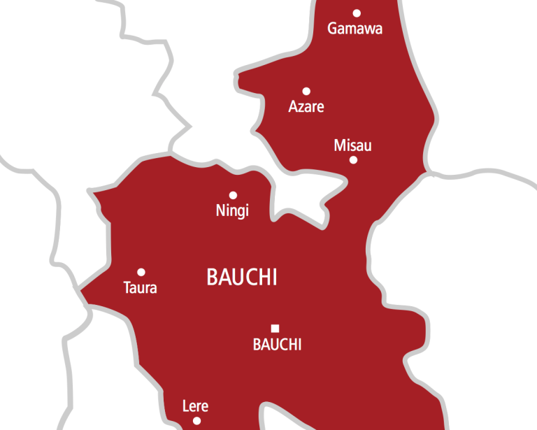 Darazo community in Bauchi intensifies battle against deforestation