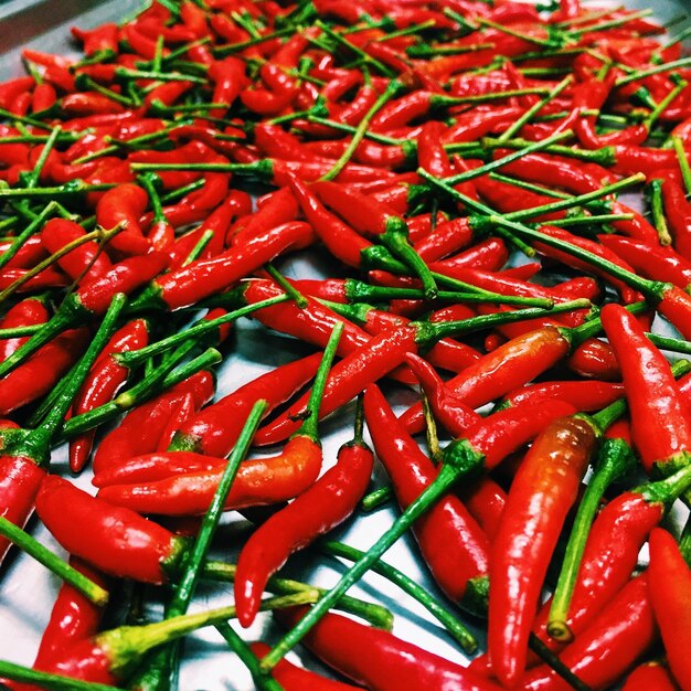 India leads global chili pepper production, Nigeria ranks 8th in 2023