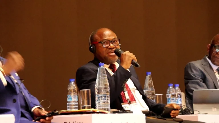 PETAN urges Africa to adopt Nigeria’s local content model